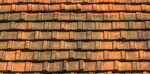 Roof tile texture