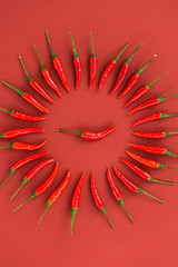 red hot chili peppers, popular spices concept - decorative circle is made from red hot chili pepper pods on red background, in the middle is one pod, top view, flat lay, vertical