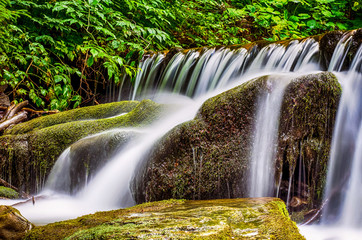 Fototapeta premium Waterfall Shypit in the Ukrainian Carpathian mountains on the long exposure