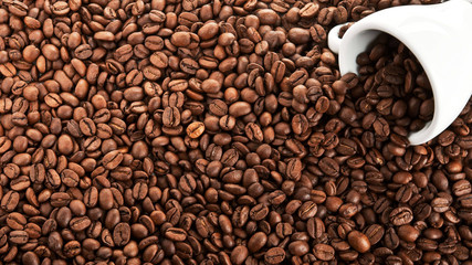 texture of coffee beans with white Cup