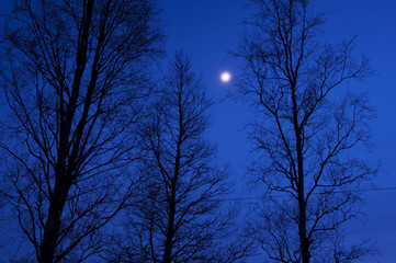 Obraz premium norrland, vinter, sverige