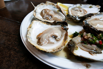 Fresh oysters