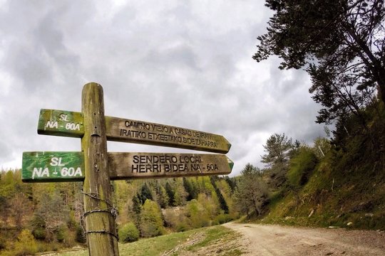 irati forest in Navarra