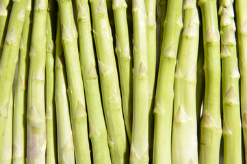texture of green asparagus background