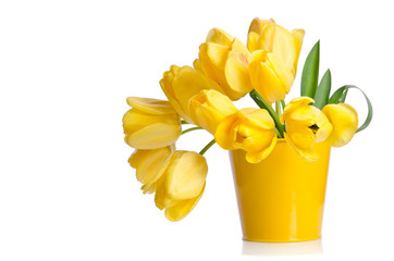 Beautiful bouquet of yellow tulips in a pot isolated on white background