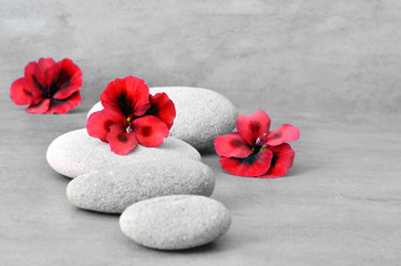 Obraz na płótnie Canvas Spa concept with flower and zen stones