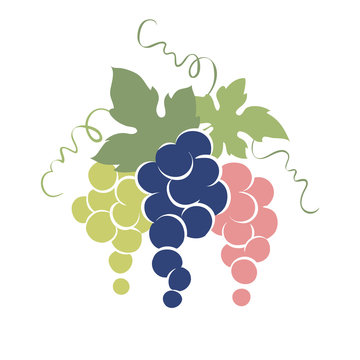 Emblem -- grapes / Vector illustration, simple image of grapes of three colors
