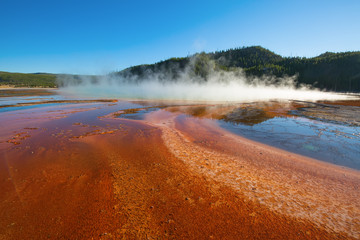 Lower geyser basin