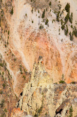 Yellowstone canyon