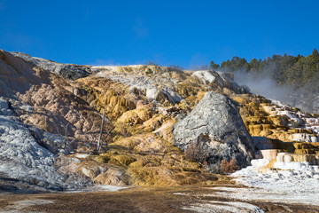 Mammoth hot springs