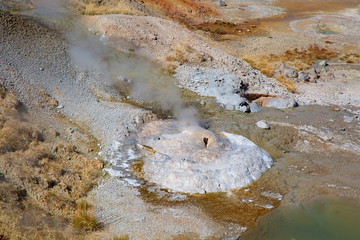 Norris geyser basin