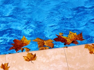 Autumn in the pool