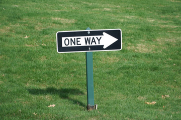 one way sign against green lawn