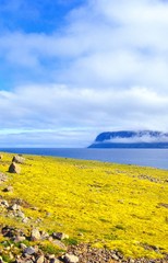 Blick über den Fjord Patreksfjördur / Talknafjördur (Patreksfjörður / Tálknafjörður), Landzunge mit Nebelbank/ Wolkenbank, Westfjorde, Vestfirðir,  Island / Iceland, Europa 