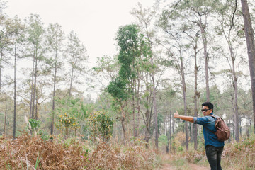 A man hitchhiking in the pine forest park, Thailand.