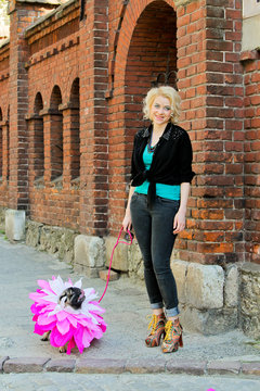 Pretty blonde girl walking with comic pug. Funny dog with tongue hanging out near brick wall on the sidewalk