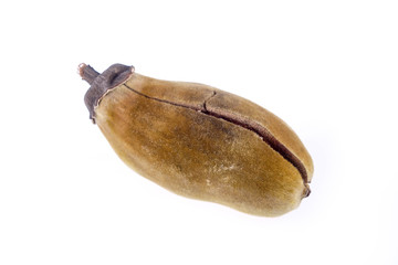 Baobab fruit on a white background