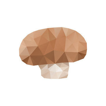 Polygonal champignon