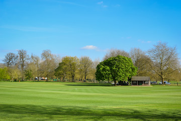 Haus, Wiese, Bäume, Grass, Grünfläche, Hütte, England, Oxford, Ruhe, Haus auf einer Wiese, alleinstehend 
