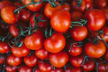 Pile of Bright red tomatoes with green vines at the farmers market