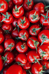 red tomatoes background. top view. Header for website
