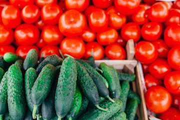 Pile of tomatoes and cucumber on the market. Close