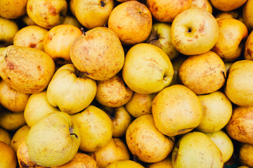 Yellow apples on the shelf in the supermarket