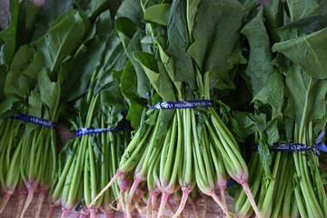 新鮮、ほうれん草