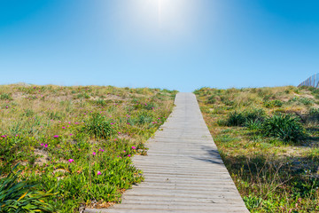 Obraz premium shining sun over Colostrai shore