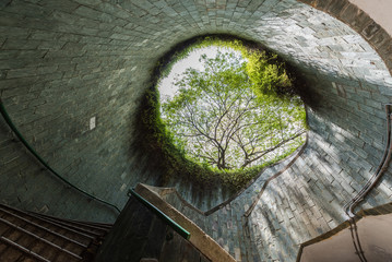 The tree over underground crossing tunnel walkway at Fort Canning Park, Singapore