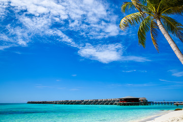 Water bungalows at beautiful tropical Maldives island luxury resort with palm tree, sandy beach, turquoise sea and blue sky background