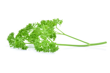 Parsley isolated on white background