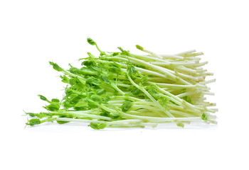 Snow pea sprouts on white background