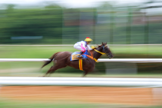 Motion Blurred Horse Race