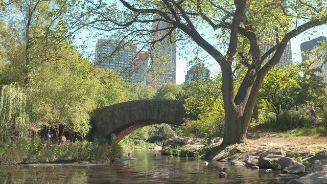 CLOSE UP: Iconic stone Gapstow Bridge above the Pond in sunny NYC Central Park on stunning summer day. Luxury glassy skyscrapers, office buildings, corporate towers creating New York City skyline