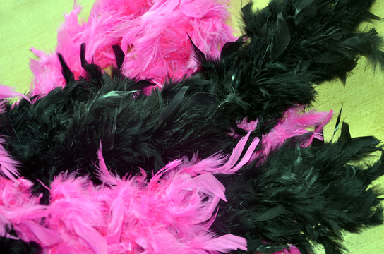 Boas en plumes noires et fuchsias