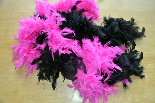 Boas en plumes noires et fuchsias