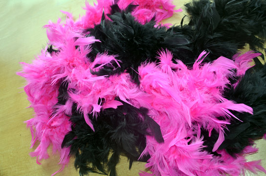 Boas en plumes noires et fuchsias