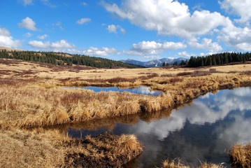 field and ponds