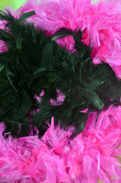 Boas en plumes noires et fuchsias