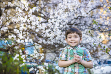 toddler boy in spring time near the blossom tree smiling happy boy