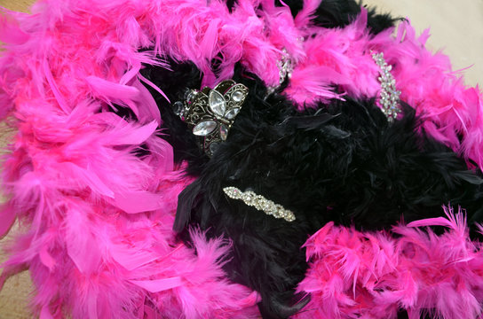 Boas en plumes noires et fuchsias et pinces &agrave; cheveux en strass