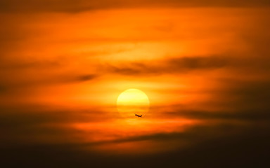 wild shot of silhouette Airplane with sunset in background