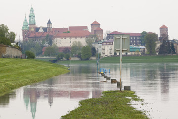 Fototapeta na wymiar Poland, Krakow, Flooded River Bank