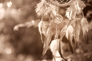 Soft focus on Dream Catcher with natural background in Sepia style. Native american dream catcher....