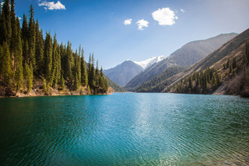 Majestic blue mountain lake with green trees - 146767562