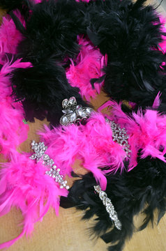 Boas en plumes noires et fuchsias et pinces &agrave; cheveux en strass