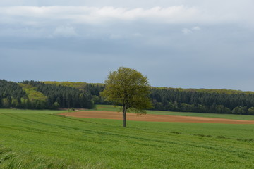 Paysage de la Nièvre
