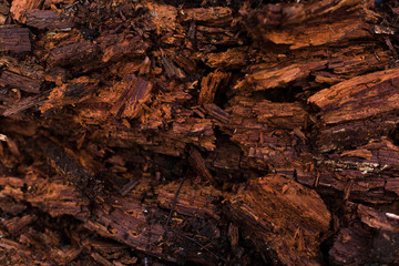 natural textures, tree macro,  tree bark