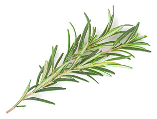 rosemary isolated on white background